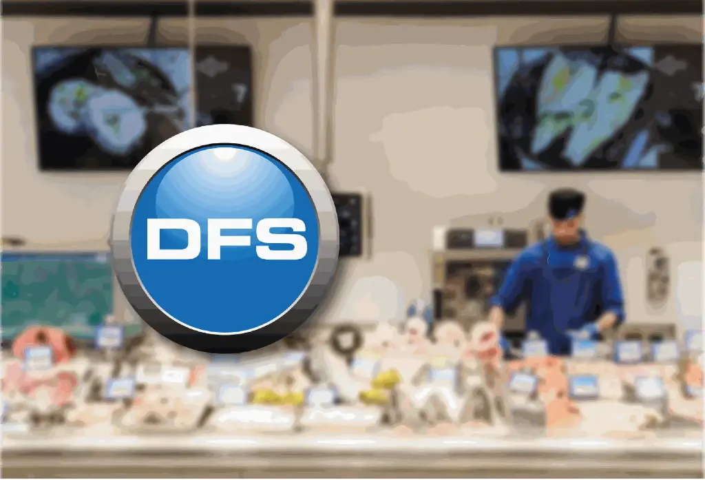 Software DFS